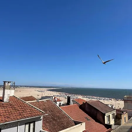 Nene House - Casa De By Ferias Em Figueira Holiday home *